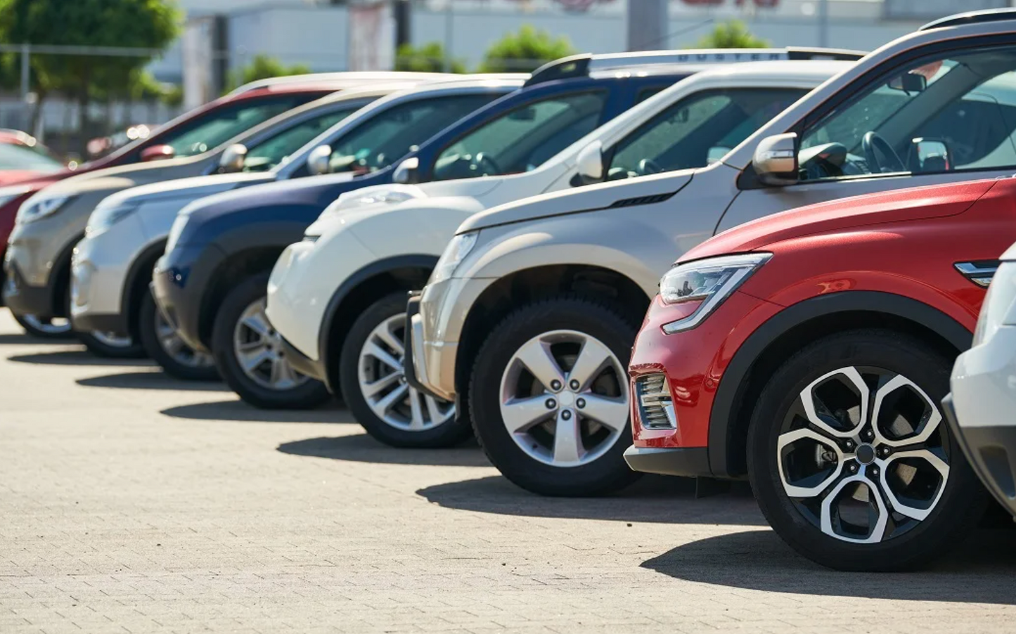 Car Rental