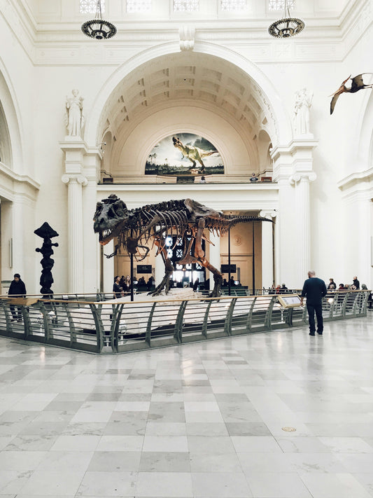 Museum Appointment