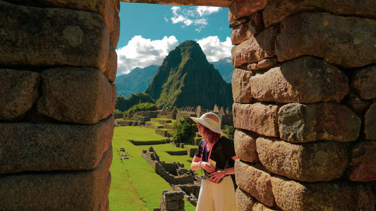 Travel, Tours & Excursions Appointment