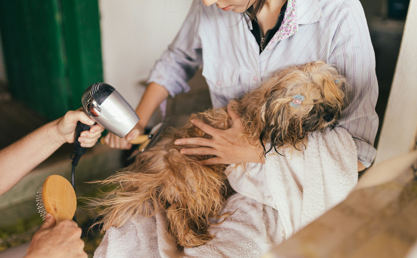 Pet Grooming