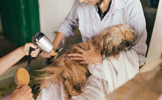Pet Grooming